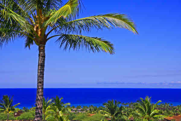 Property Photo: 72-2909 Hainoa St 4 HI 96740