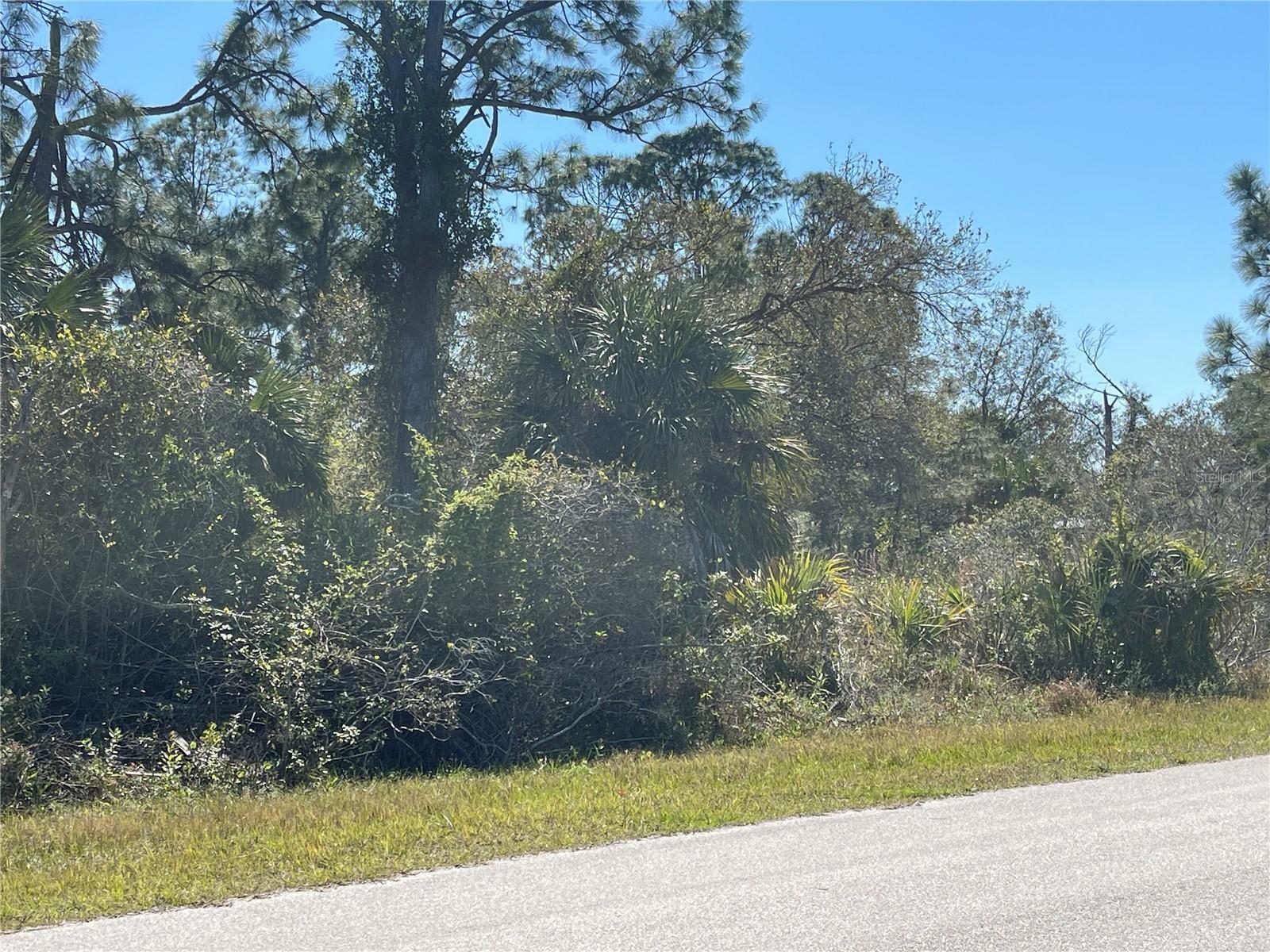 Property Photo: Sarletto Street FL 34287