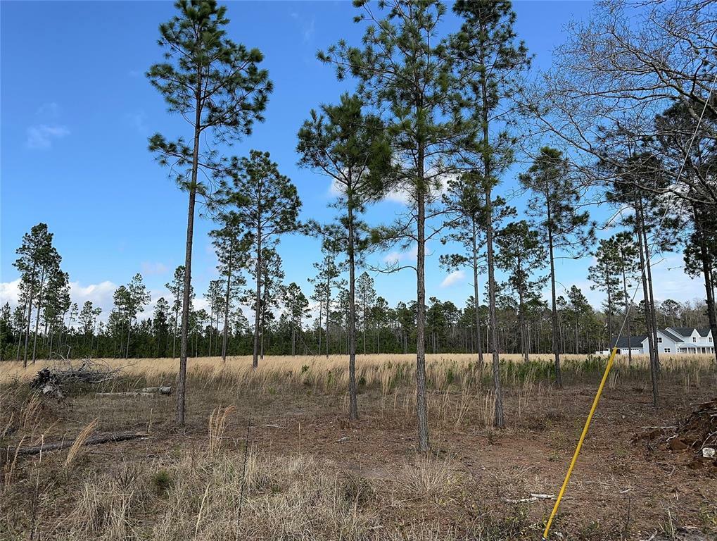 Property Photo:  15538 County Road 108  FL 32046 