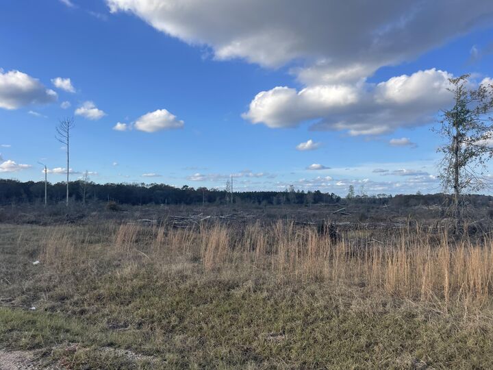 Property Photo: 87 Ac Jack Kerley Rd. MS 39421