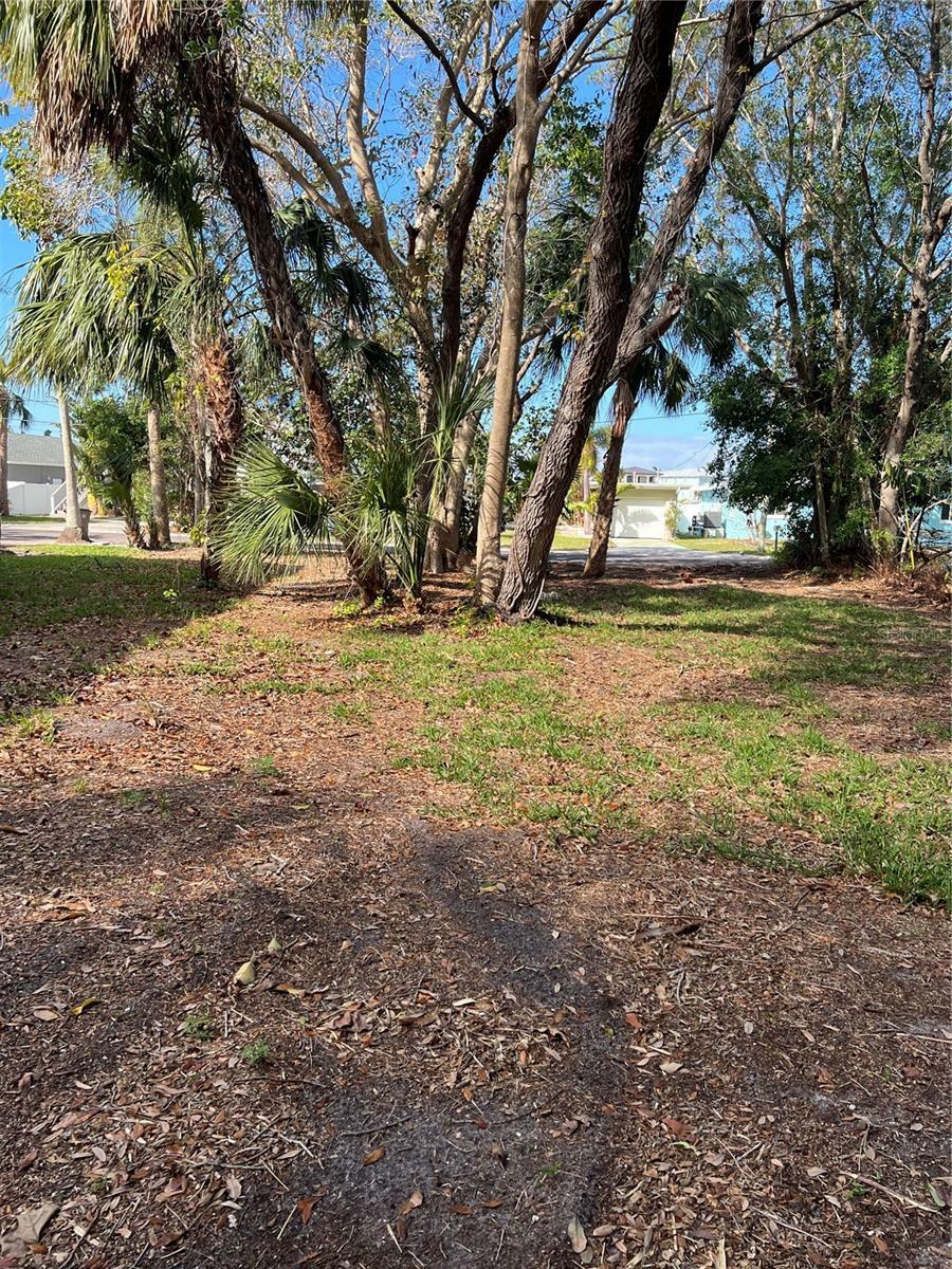 Property Photo:  418 12th Avenue  FL 33785 