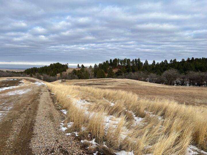 Property Photo:  Lot 27 Ponderosa Pass Road  SD 57793 