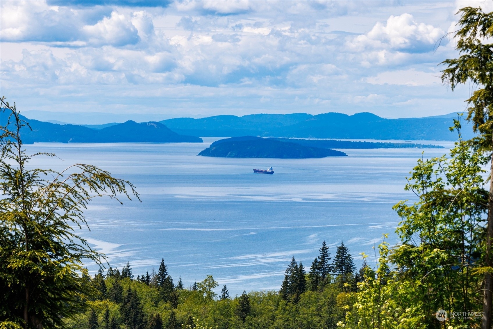 3100  Blanchard Knob Trail  Bow WA 98232 photo