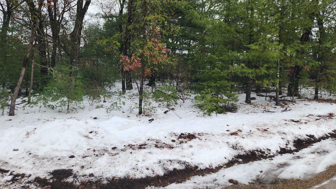 Property Photo: Lots 20-21 Leona Street WI 53934