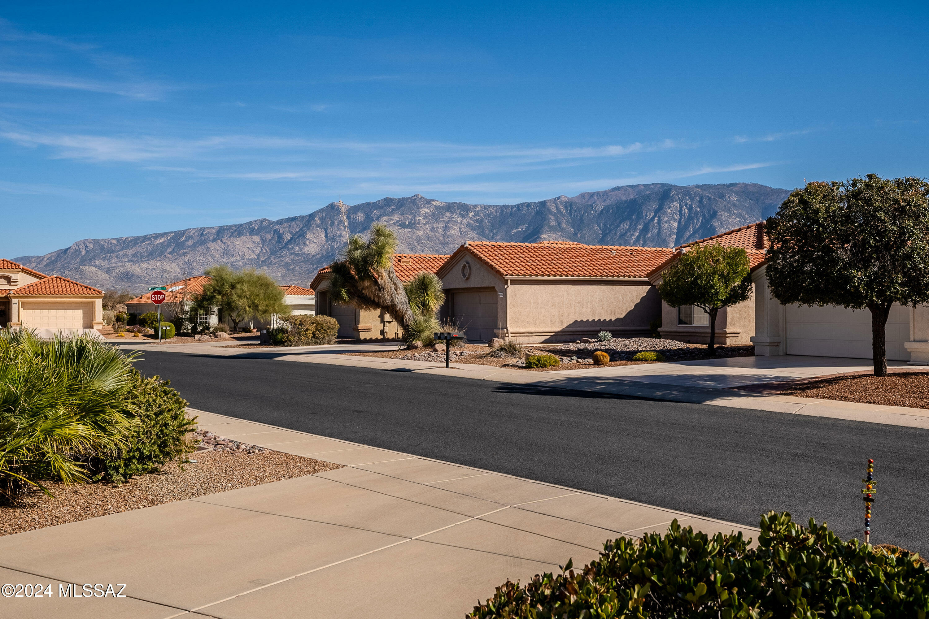 Property Photo:  2265 E Celosia Way  AZ 85755 