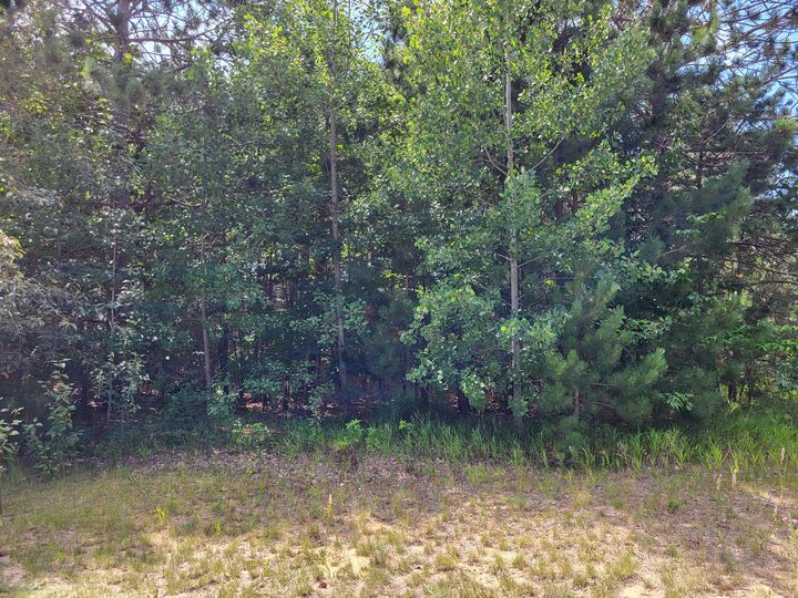 Property Photo: Unit #9 Bear Paws Trail MI 49795