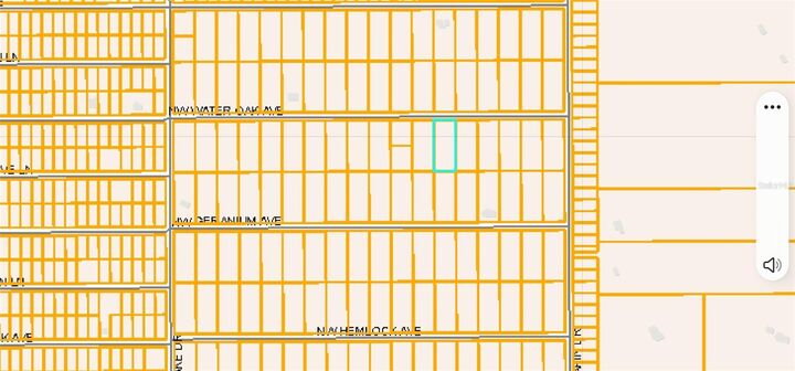 Property Photo:  Lot 13 NW Water Oak Avenue  FL 34431 