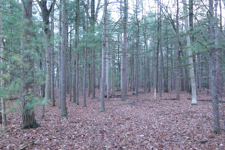 Property Photo:  0 E Laketon  MI 49442 