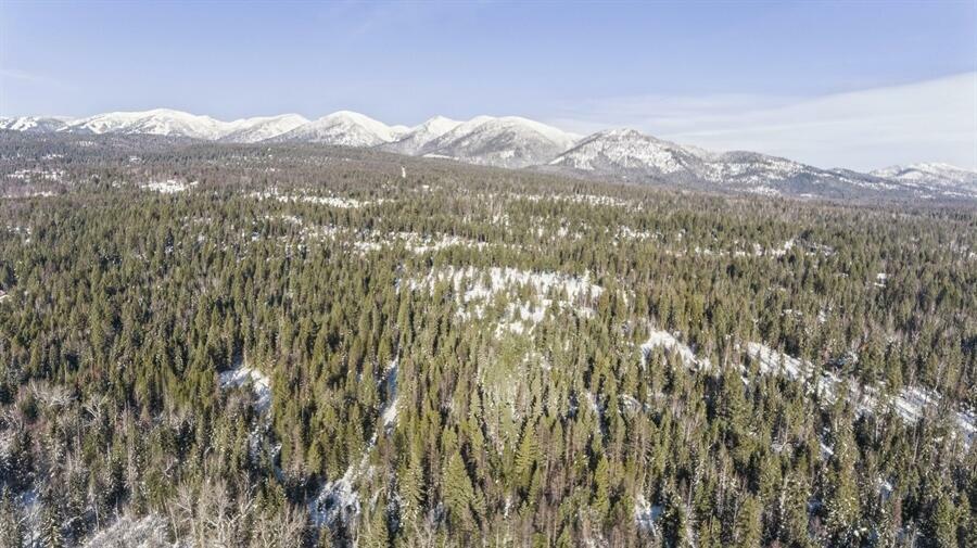 Property Photo:  635 Kaeding Creek Road  MT 59937 