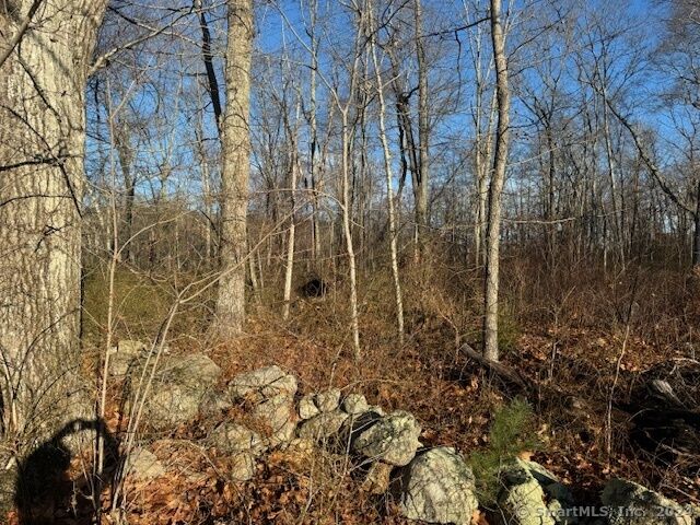 95 Butlertown Road  Waterford CT 06385 photo