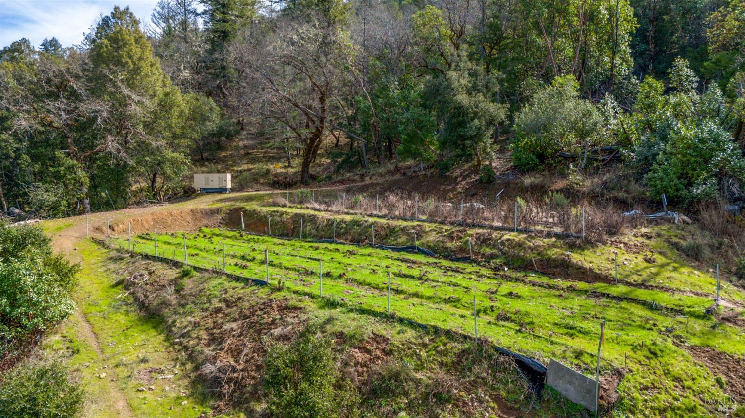 Property Photo:  41575 Covelo Road  CA 95490 