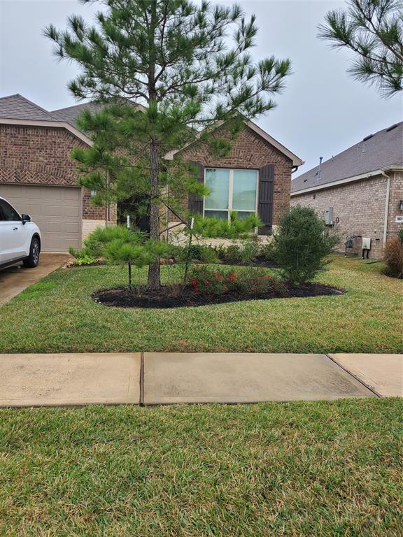 Property Photo:  147 Chestnut  TX 77382 