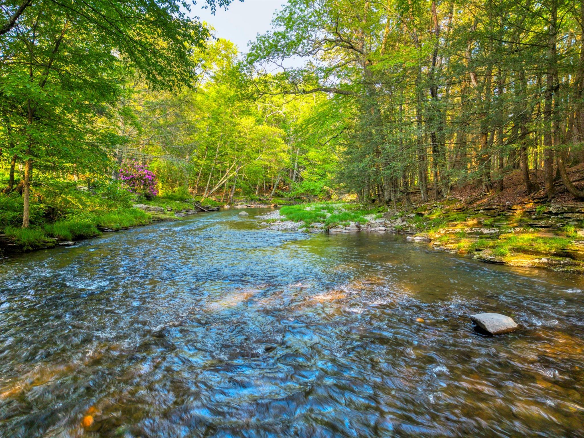 Property Photo: 2565 Route 212 NY 12498
