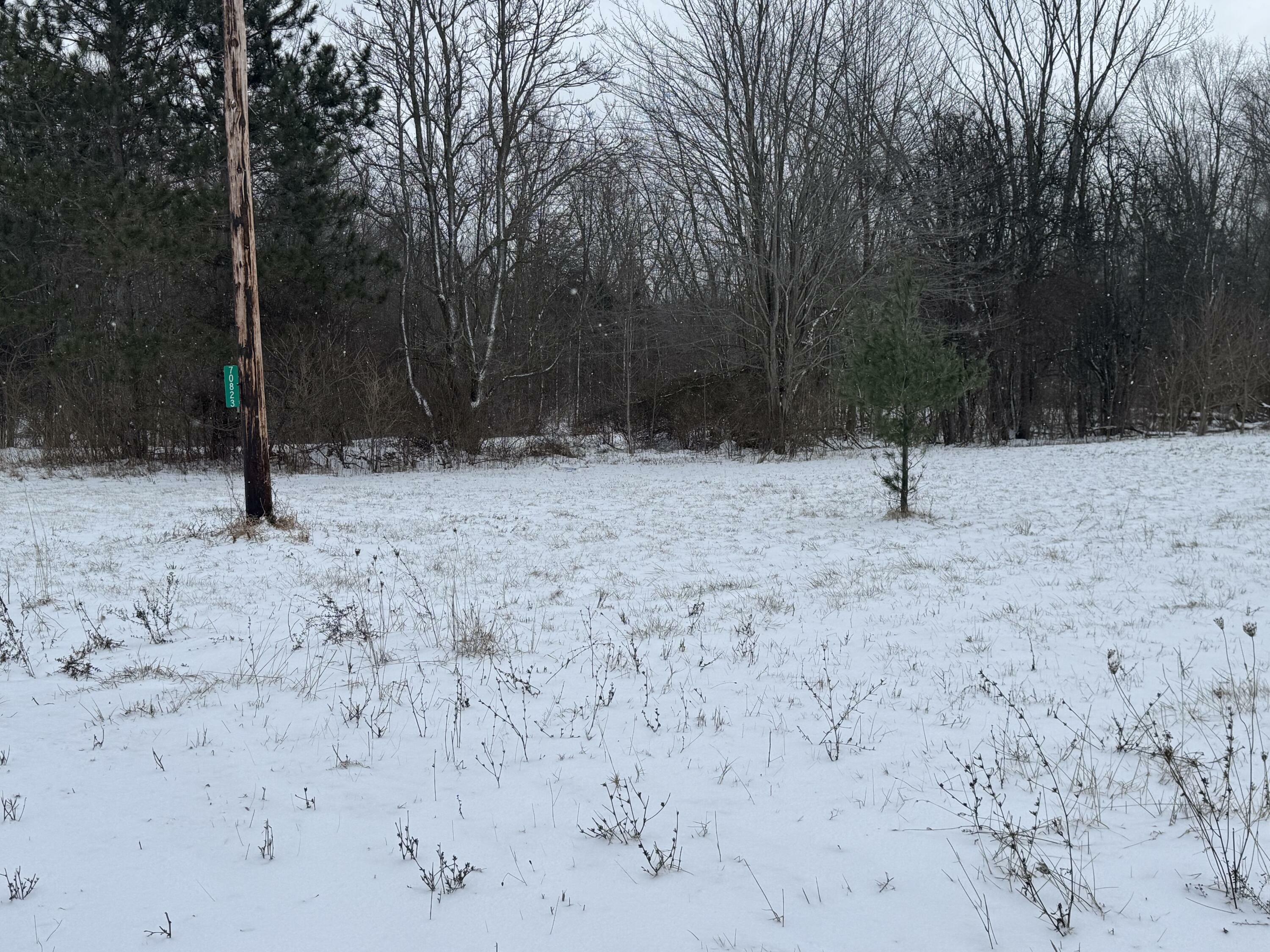 70823 8th Avenue  South Haven MI 49090 photo