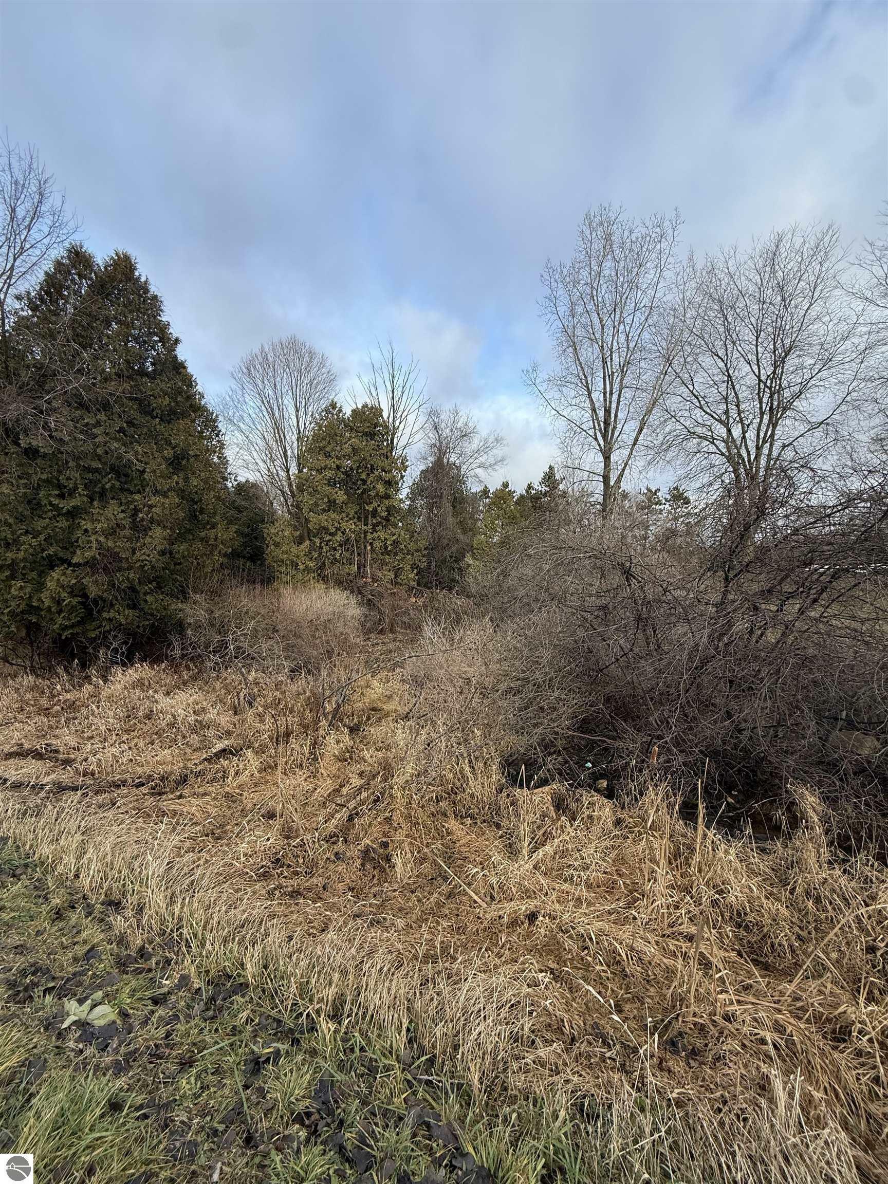 Property Photo:  Tbd Cedar Drive Lot 57  MI 48858 