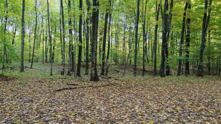Property Photo:  3367 Needles Lot 27  MI 49740 