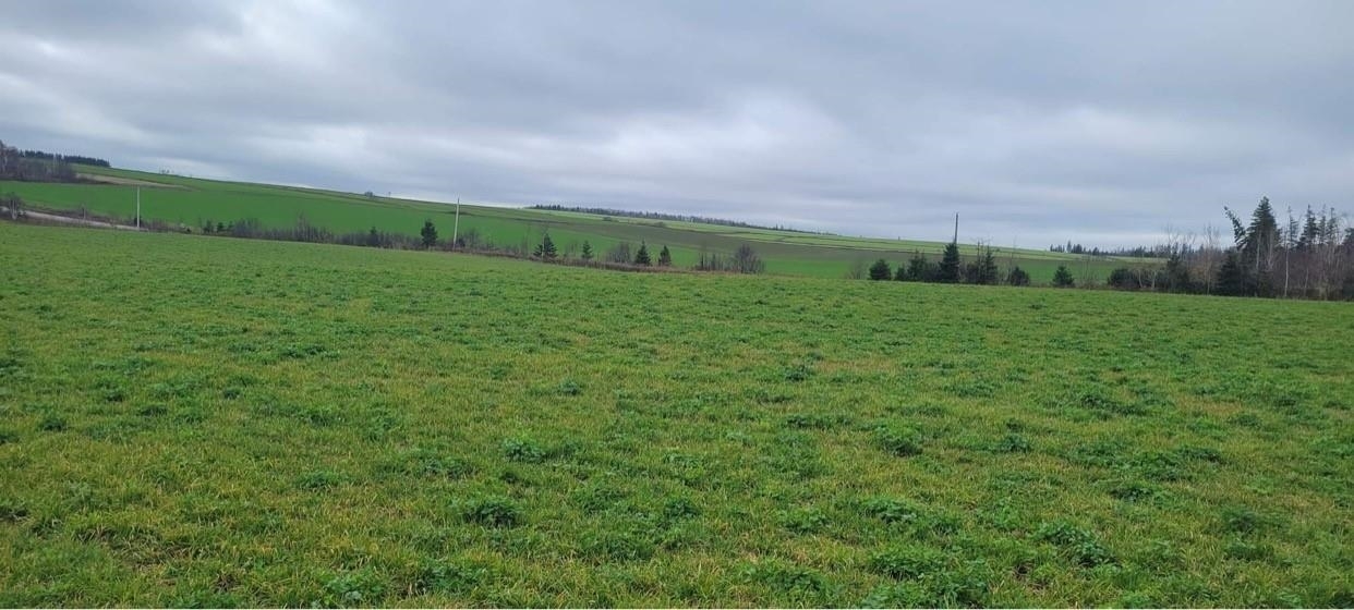 Property Photo:  Lot 6 County Line Road Rte 233  PE C0B 1M0 