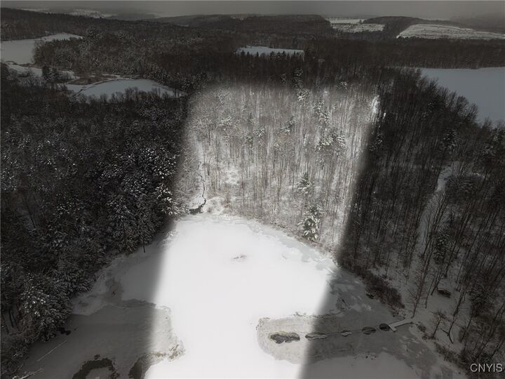 Property Photo:  00 Fawn Lake Road  NY 14801 