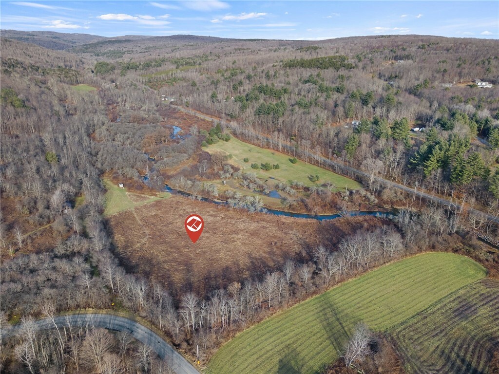 Property Photo:  0 Blackman Hill Road  NY 13736 