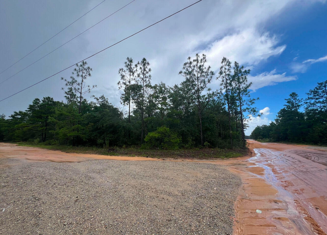 Property Photo: Lot 1 Round Table Road FL 32433