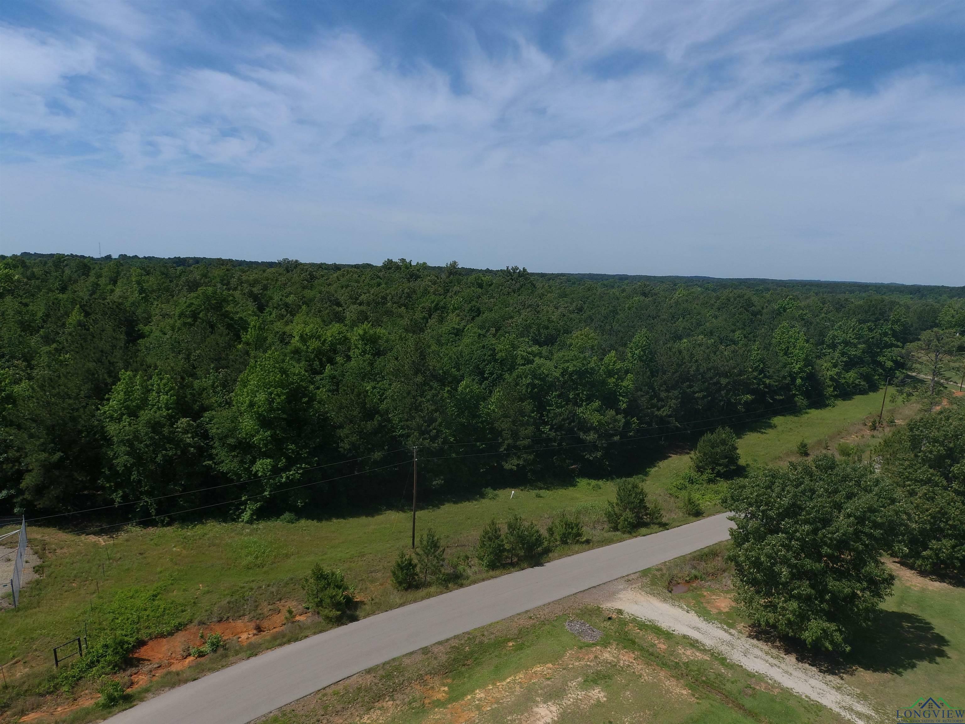 Property Photo:  Tbd Deerfield Lake Circle Lot 60  TX 75650 