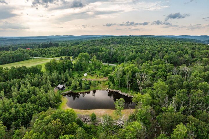 Property Photo:  922 Hankins Road  NY 12736 