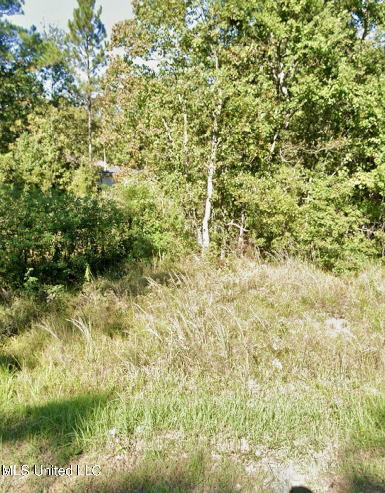 Property Photo:  Saracennia Road  MS 39562 