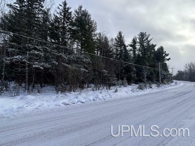 Property Photo:  Parcel B Bootjack Road  MI 49945 