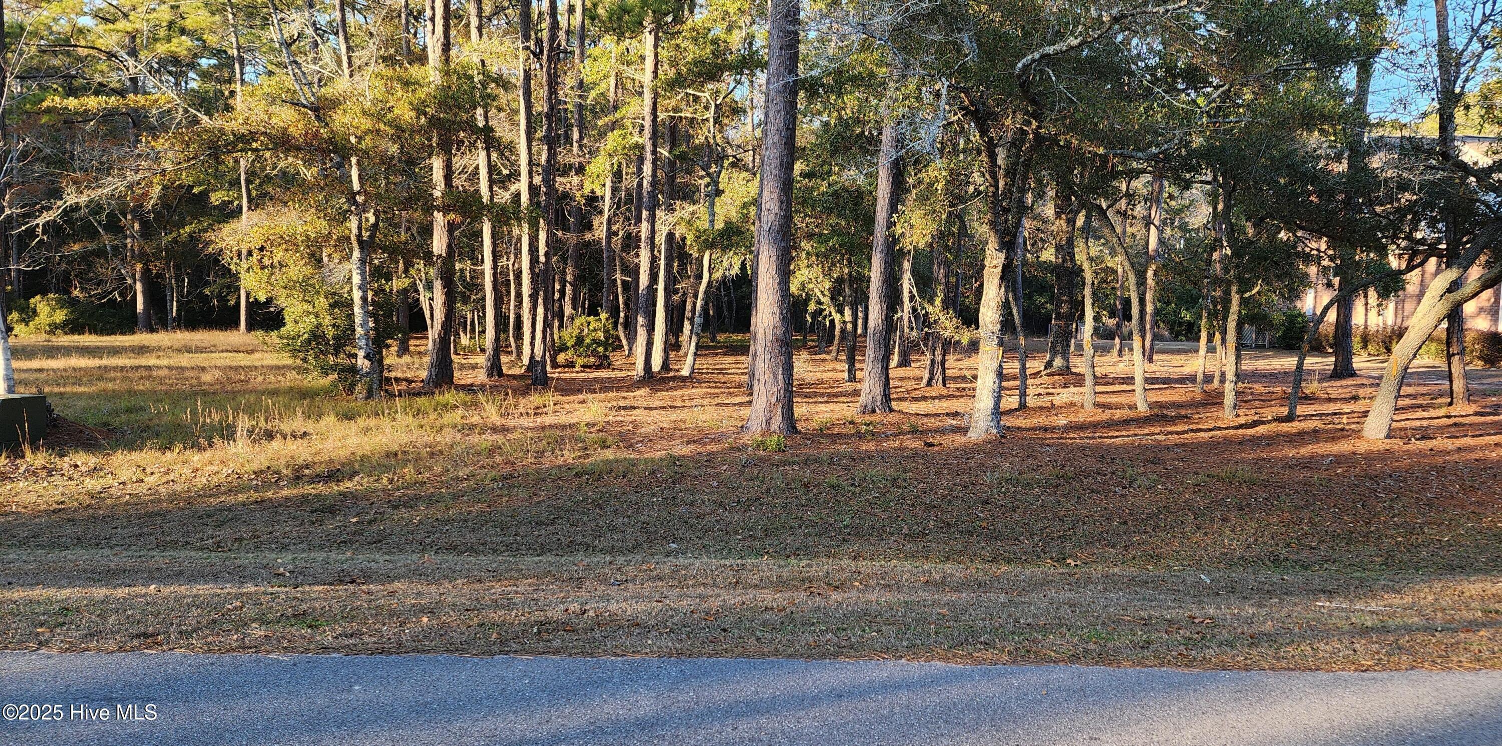 Property Photo: 342 Genoes Point Road SW NC 28462
