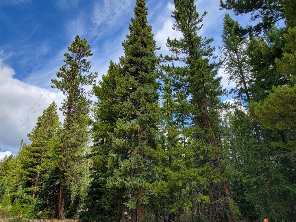 Property Photo: 165 Silverheels Place CO 80440