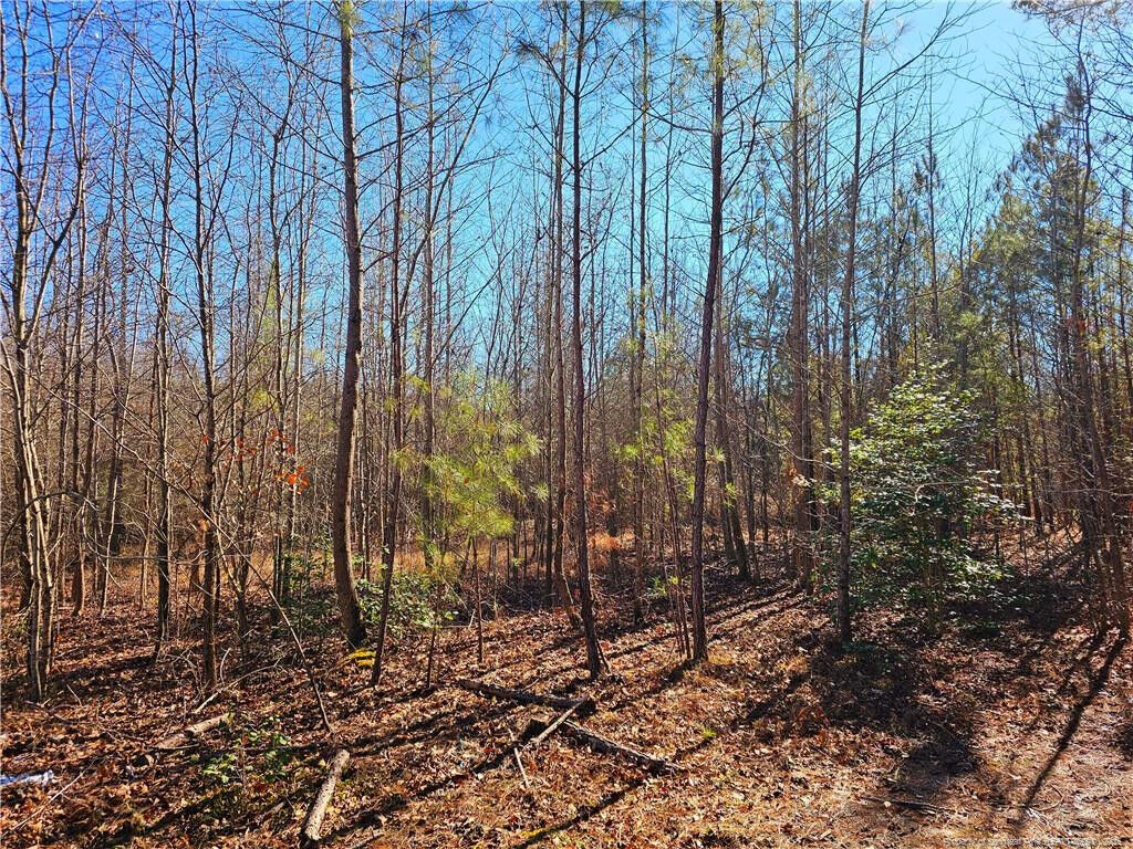 Property Photo:  Lot 5 Dragonfly Lane  NC 27332 