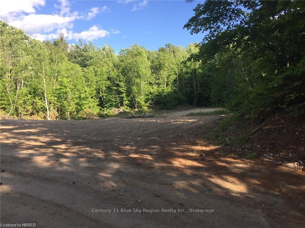 Lot 28 Concession 11 Rd  Lake of Bays ON P0A 1H0 photo