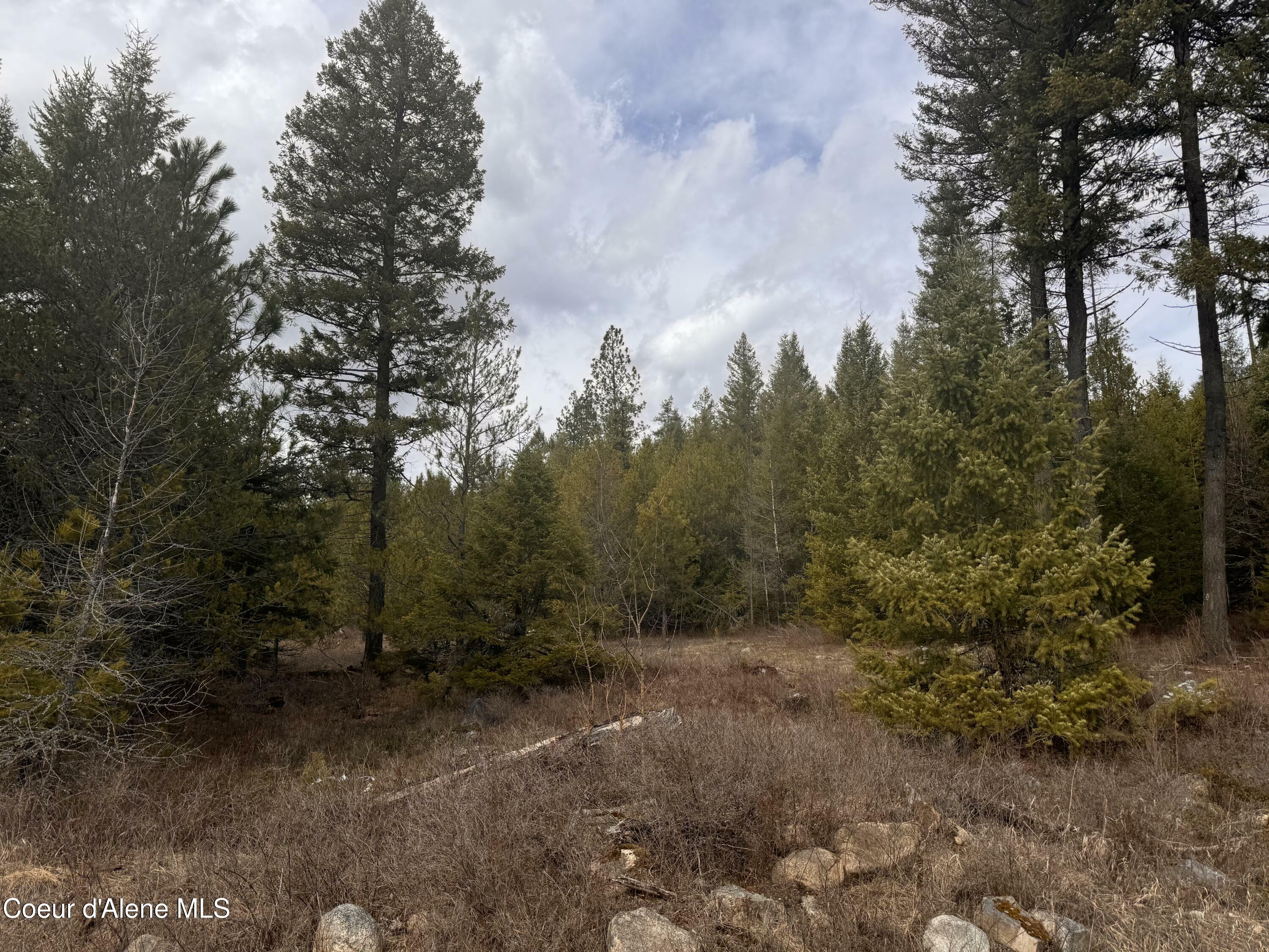 Property Photo:  Nka E Lowland Drive  ID 83801 