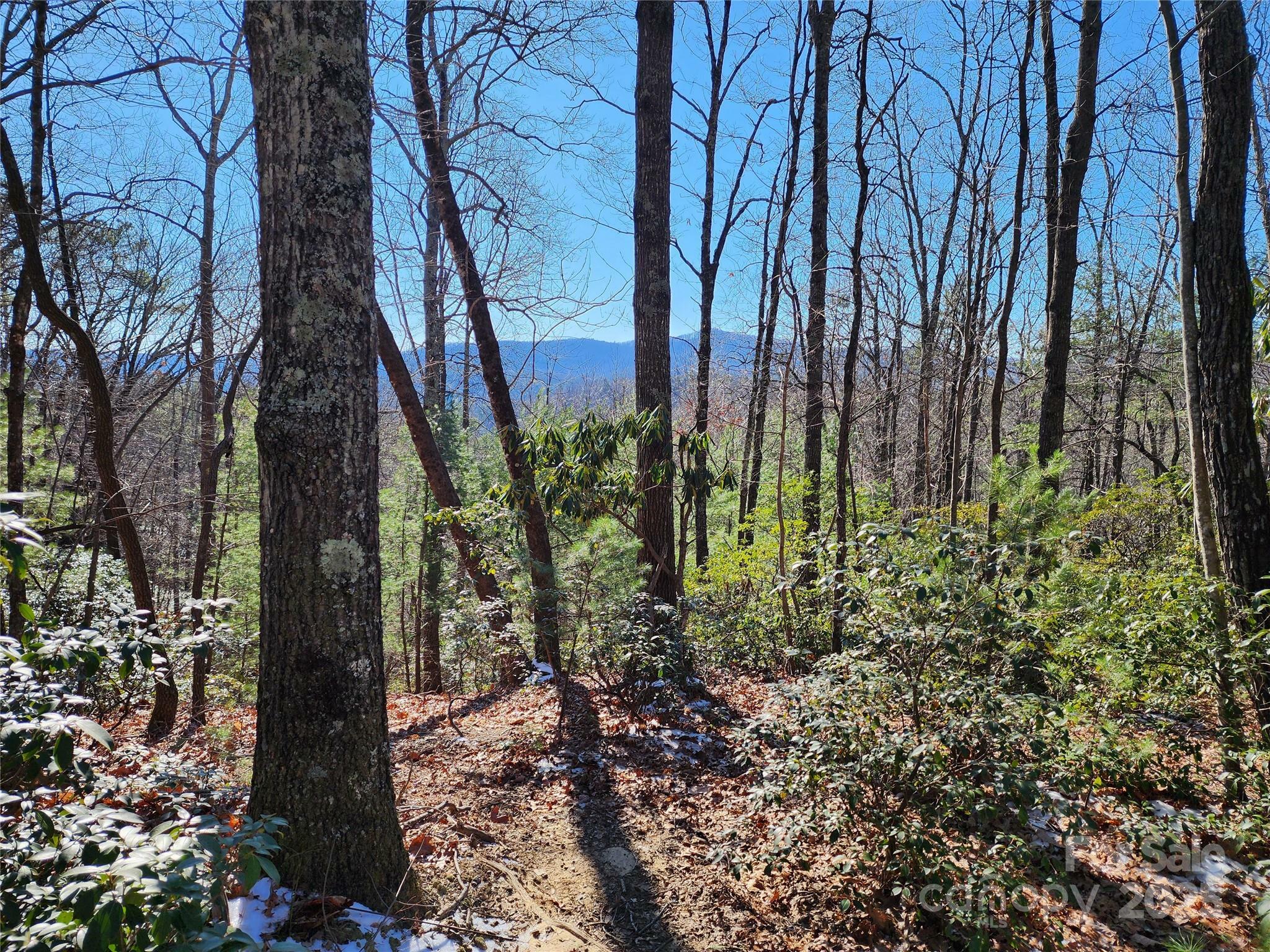 Property Photo:  000 Mountain Vista Drive  NC 28649 