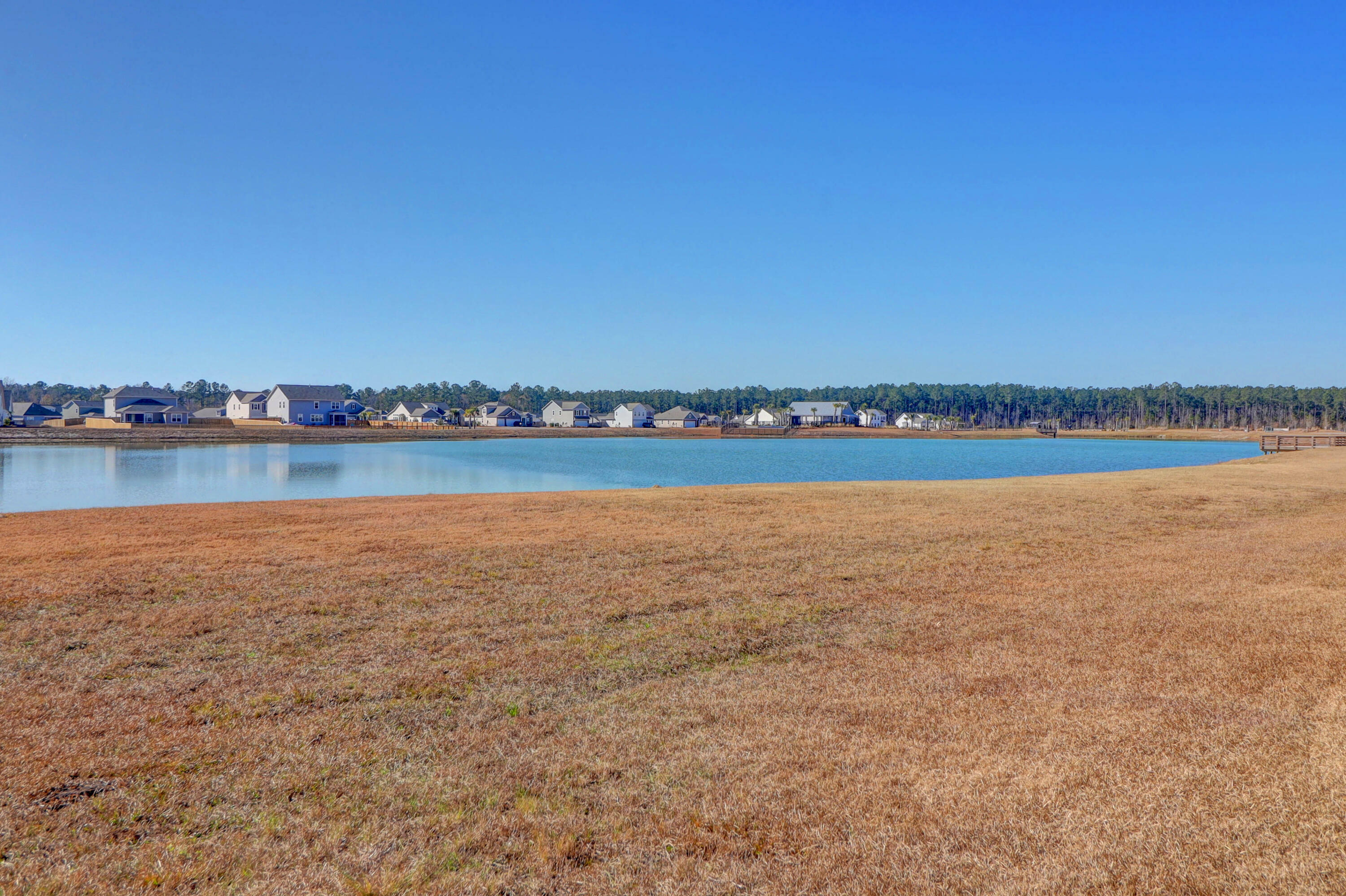 Property Photo:  1040 Wading Point Boulevard  SC 29450 