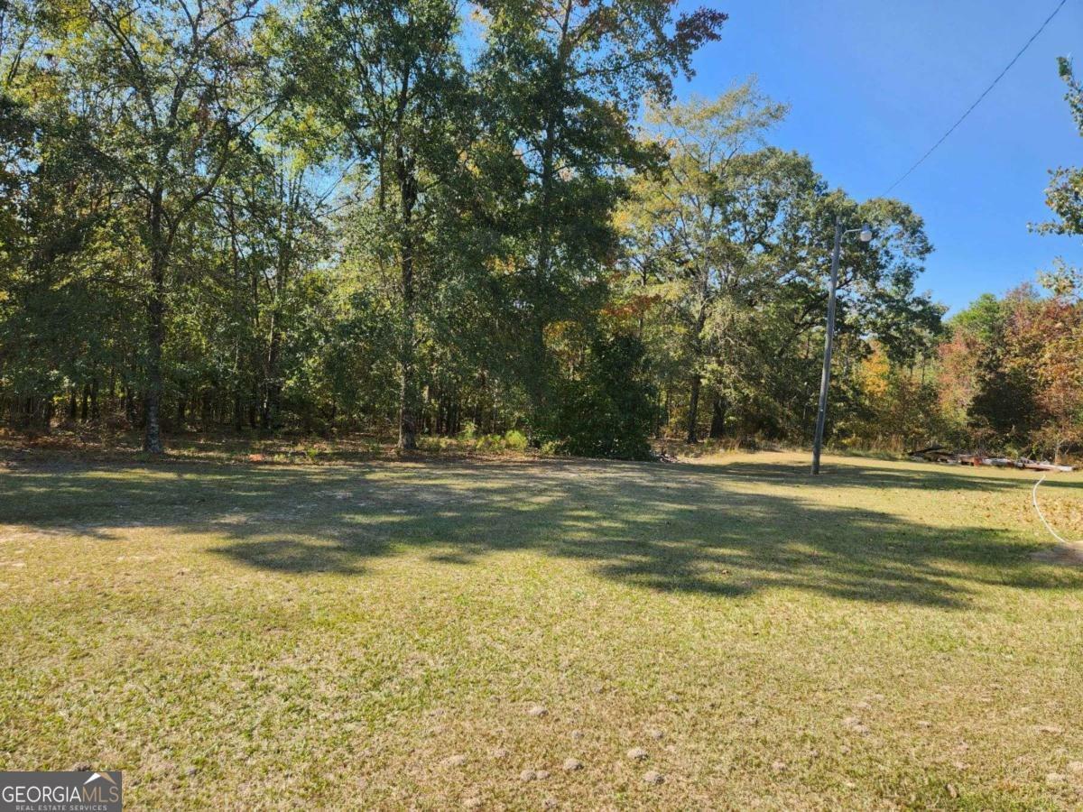 Property Photo:  184 Young Road  GA 31061 