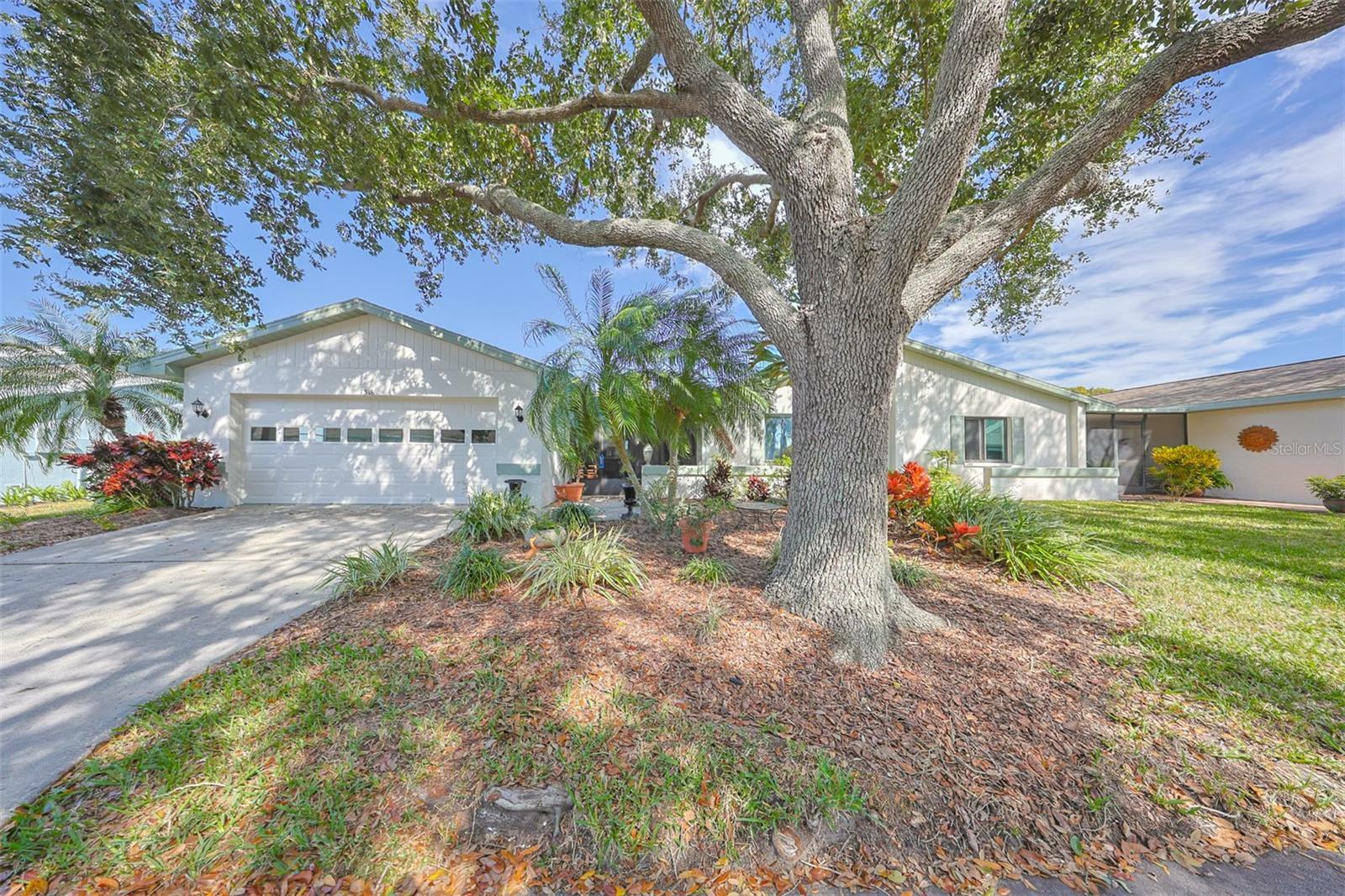 Property Photo:  1318 Leland Drive  FL 33573 