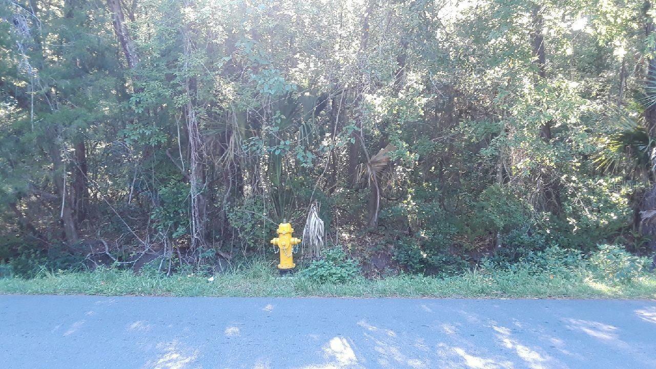 East Avenue  Brooksville FL 34601 photo