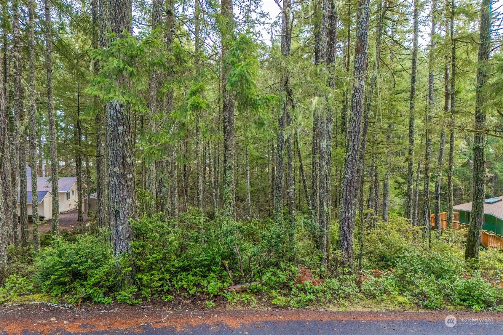 Property Photo:  651 E Vine Maple Lane  WA 98592 