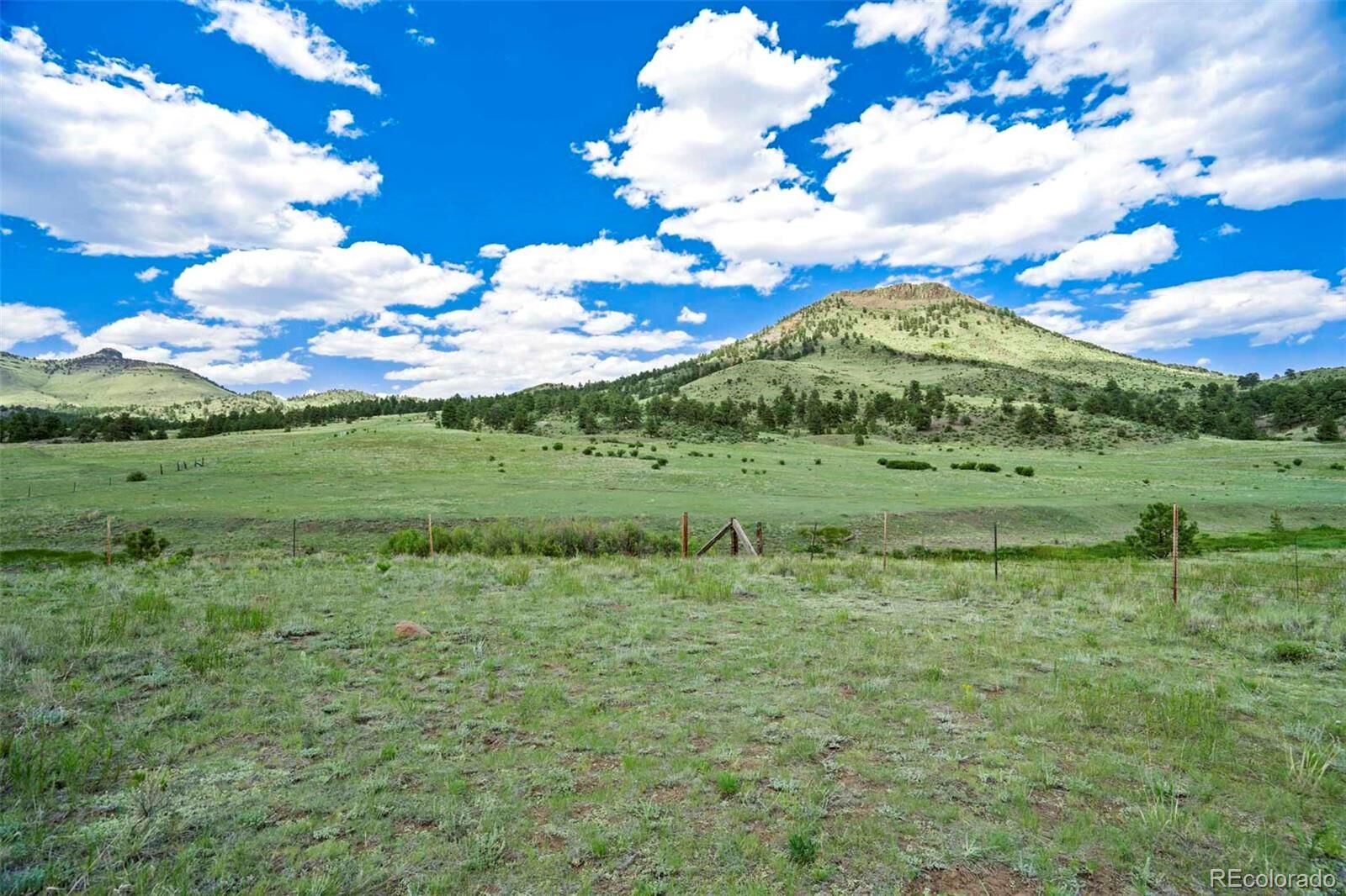 Property Photo:  Tract 7 County Road 102  CO 80820 