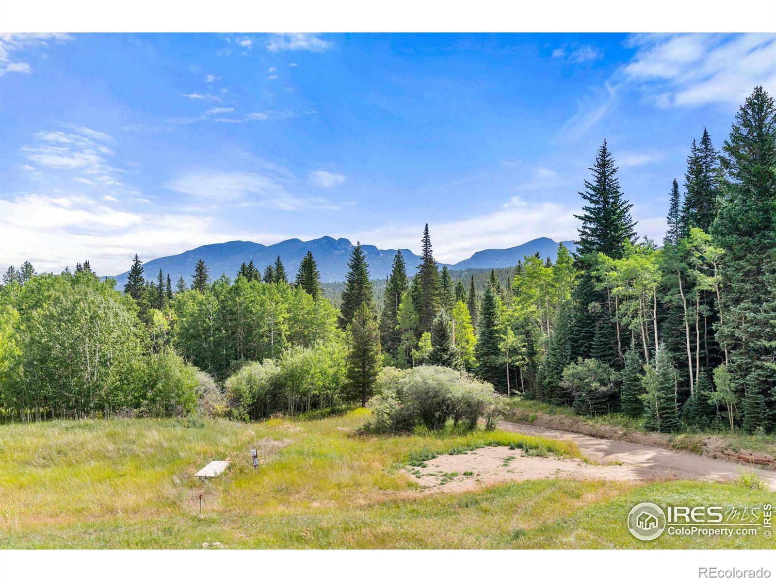 Property Photo:  2833 Lump Gulch Road  CO 80422 