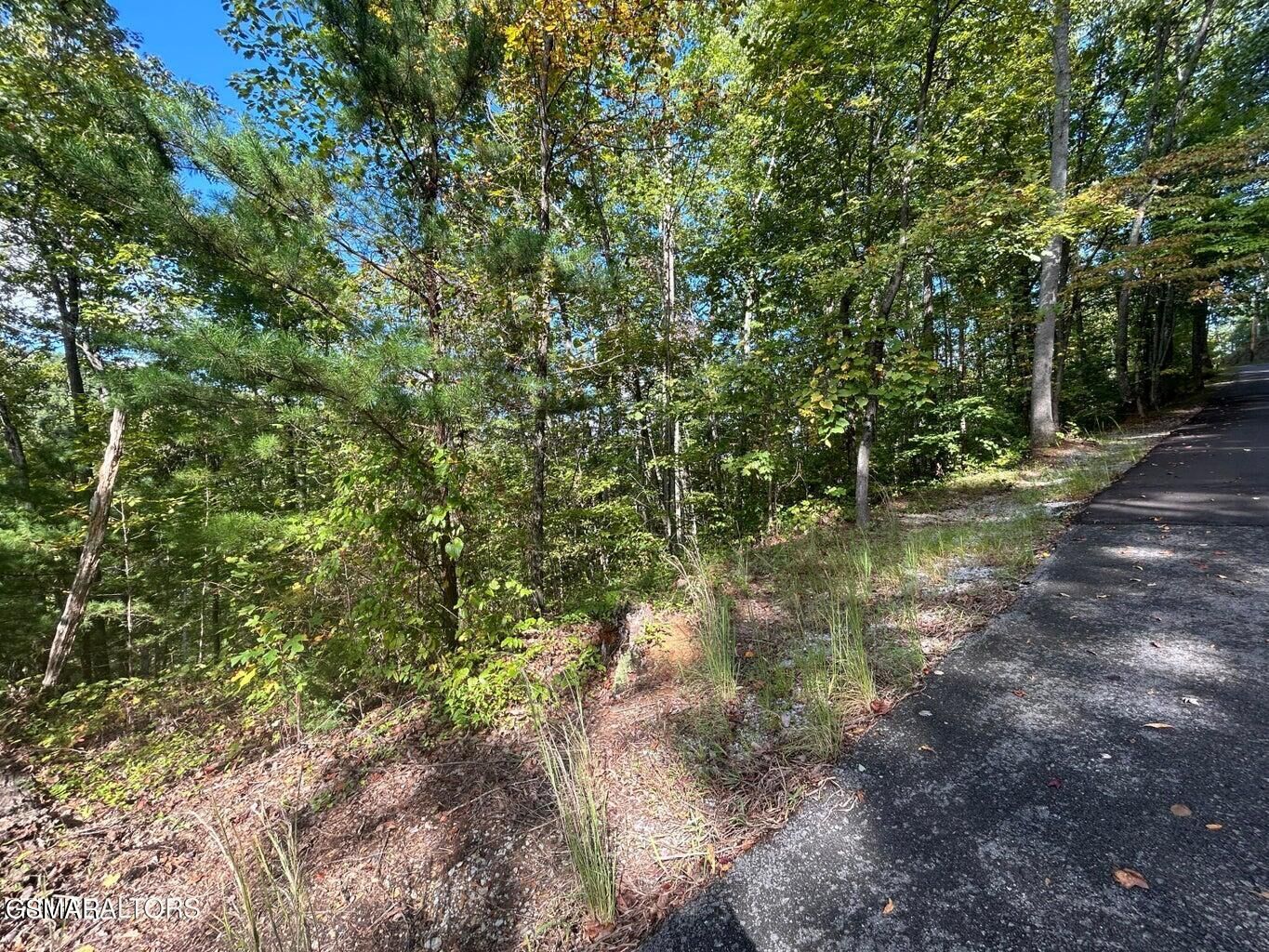 Property Photo:  Lot 9 Wildcat Ridge Road  TN 37862 