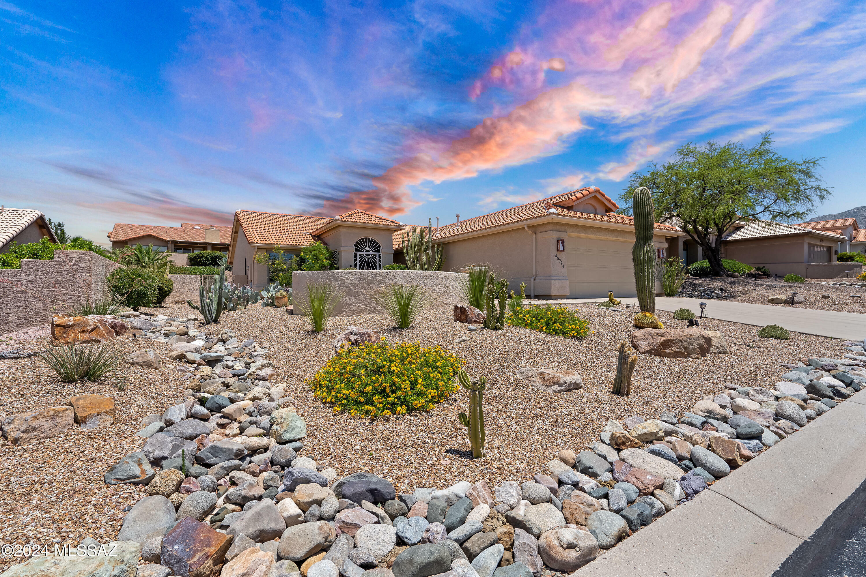 Property Photo:  65728 E Rocky Terrace Drive  AZ 85739 