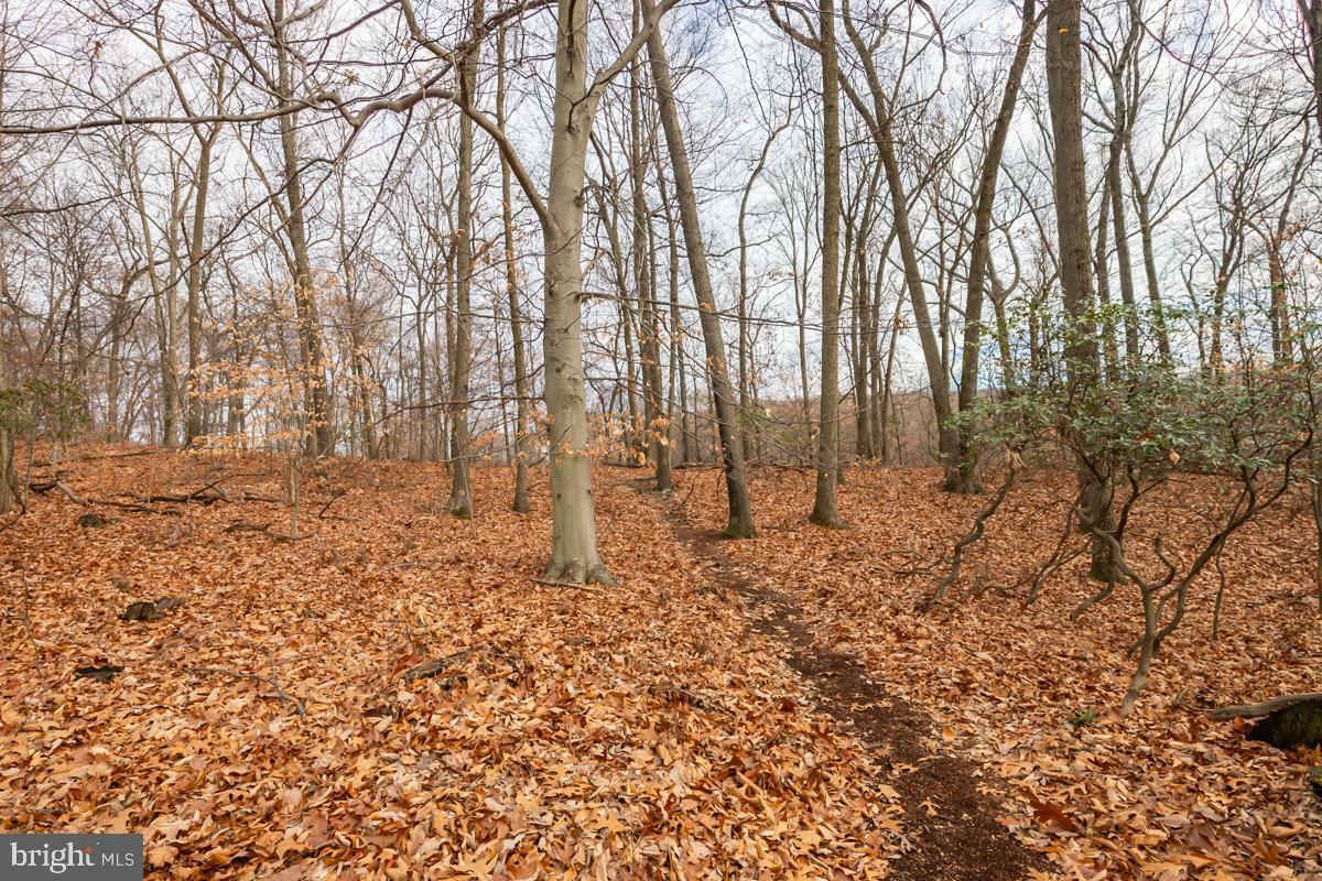 Property Photo:  0 Sheep Hill Road  PA 19512 