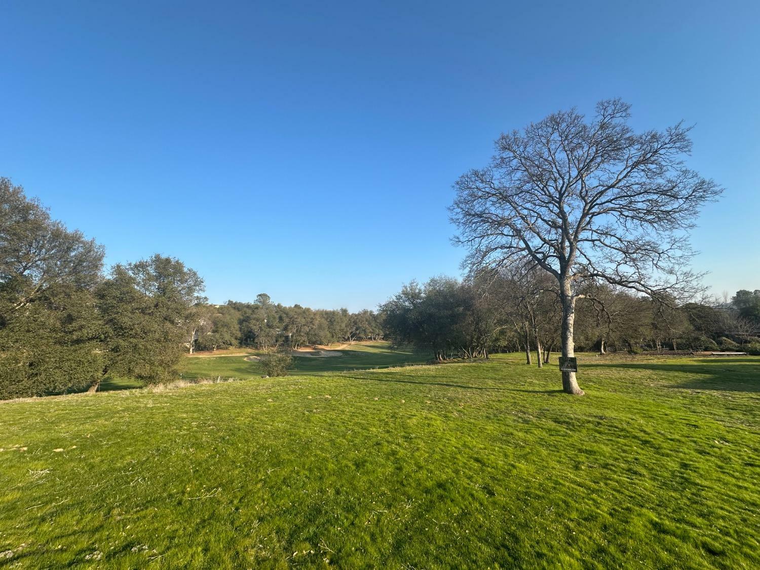 Property Photo: 313 Blair Mine Road CA 95222