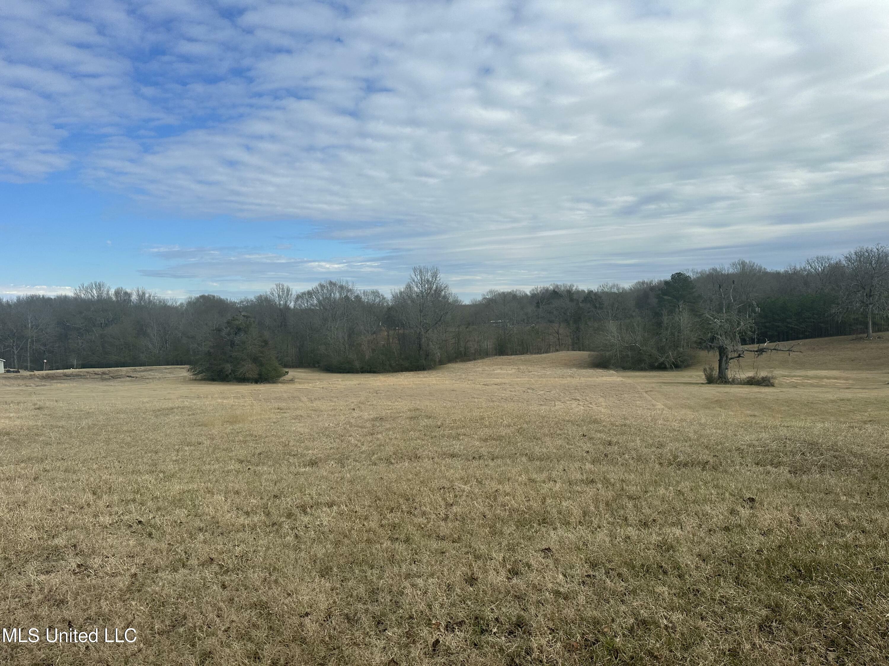 Property Photo:  Meadow Oaks Lane  MS 39056 