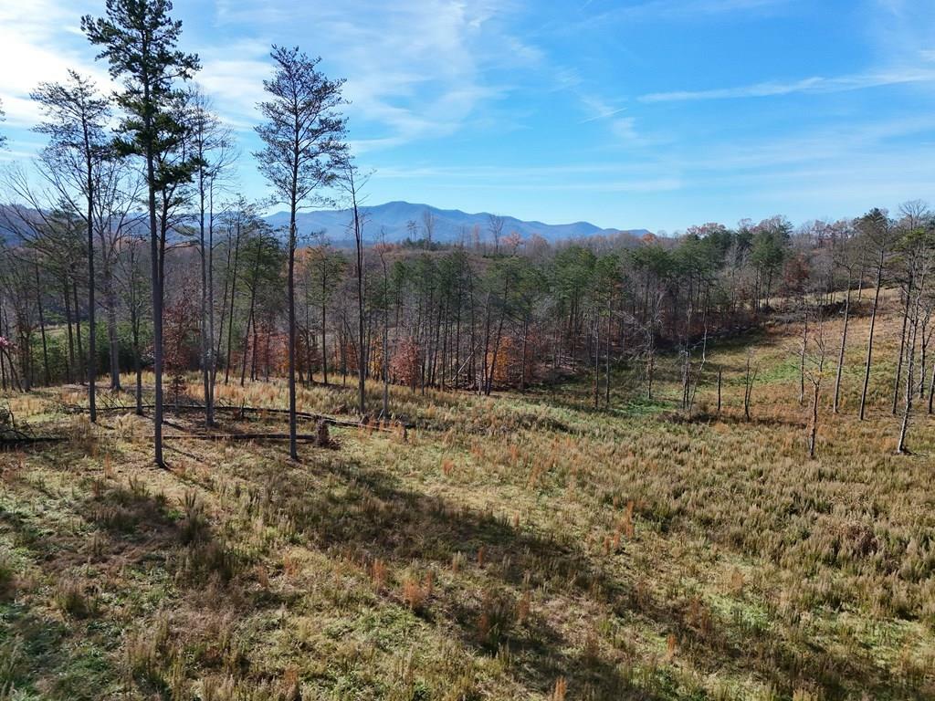 902 Deitz Cable Road  Warne NC 28909 photo