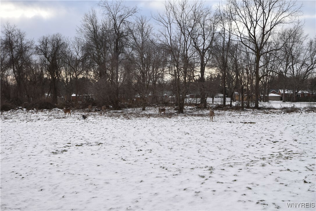 Property Photo:  750 Mill Road 4  NY 14224 