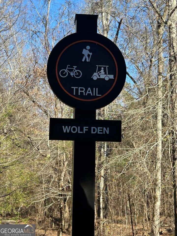 Property Photo:  116 Firefly Run  GA 30240 