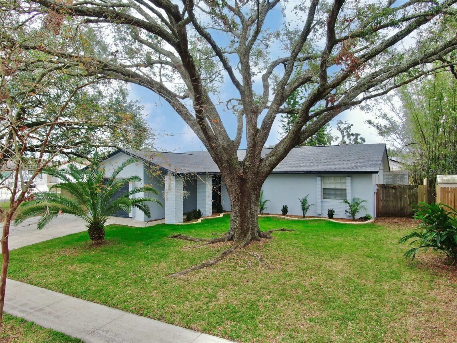Property Photo: 6207 Frost Drive FL 33625